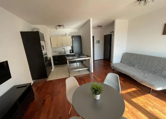 Lion 公寓 格但斯克